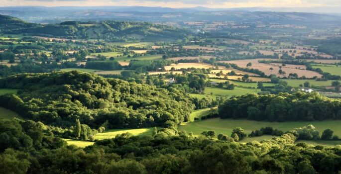 Is Bromsgrove a Good Place To Live? Guide to the Best of Bromsgrove