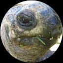 spence farley profile picture