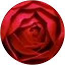 Ben Smith profile picture