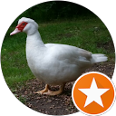 Nick Philcox profile picture